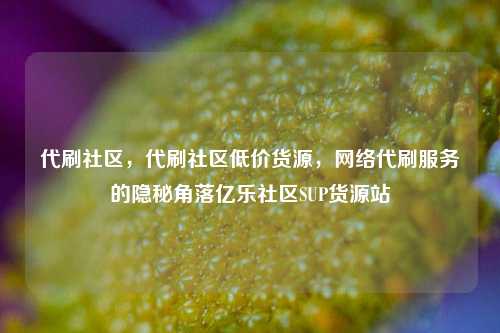 代刷社区，代刷社区低价货源	，网络代刷服务的隐秘角落亿乐社区SUP货源站  第1张