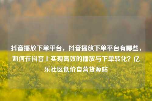 抖音播放下单平台，抖音播放下单平台有哪些，如何在抖音上实现高效的播放与下单转化？亿乐社区低价自营货源站  第1张