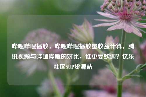 哔哩哔哩播放，哔哩哔哩播放量收益计算，腾讯视频与哔哩哔哩的对比，谁更受欢迎？亿乐社区SUP货源站  第1张