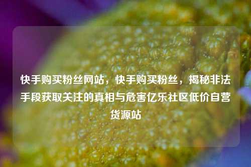 快手购买粉丝网站，快手购买粉丝	，揭秘非法手段获取关注的真相与危害亿乐社区低价自营货源站  第1张