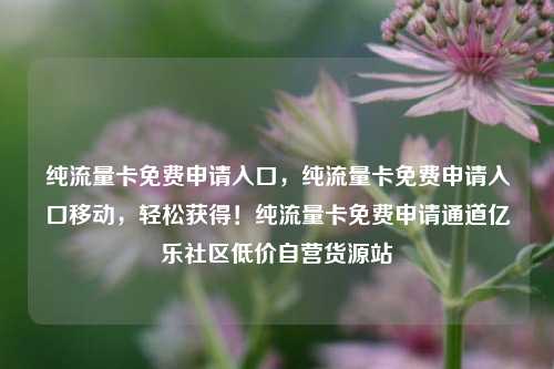 纯流量卡免费申请入口，纯流量卡免费申请入口移动	，轻松获得！纯流量卡免费申请通道亿乐社区低价自营货源站  第1张