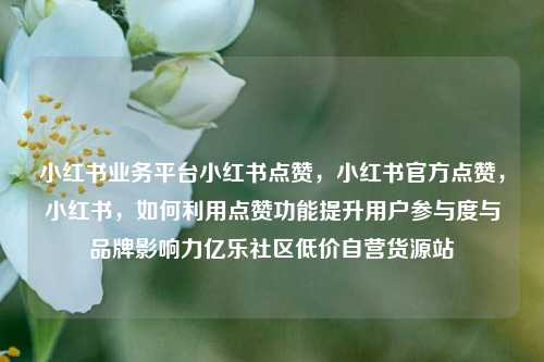 小红书业务平台小红书点赞，小红书官方点赞	，小红书，如何利用点赞功能提升用户参与度与品牌影响力亿乐社区低价自营货源站  第1张