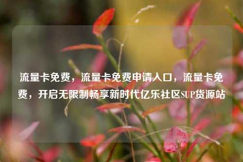 流量卡免费，流量卡免费申请入口，流量卡免费	，开启无限制畅享新时代亿乐社区SUP货源站  第1张